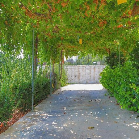 Villa Aphrodite Finiki Polis Екстер'єр фото